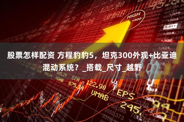股票怎样配资 方程豹豹5，坦克300外观+比亚迪混动系统？_搭载_尺寸_越野