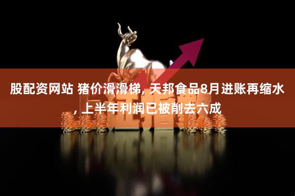 股配资网站 猪价滑滑梯, 天邦食品8月进账再缩水, 上半年利润已被削去六成