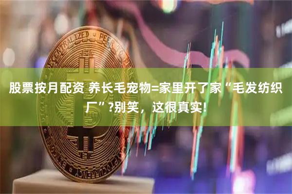 股票按月配资 养长毛宠物=家里开了家“毛发纺织厂”?别笑，这很真实!